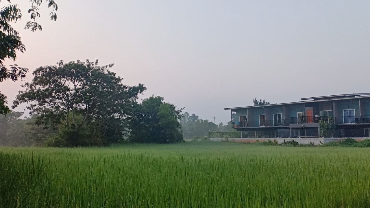 Photo of Outdoor in Trakan Phuet Phon