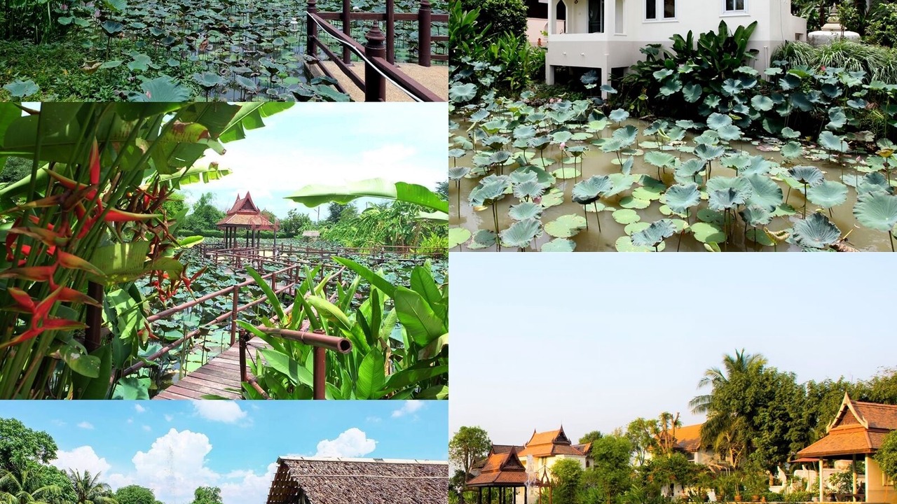 Photo of Outdoor in Bang Krasan