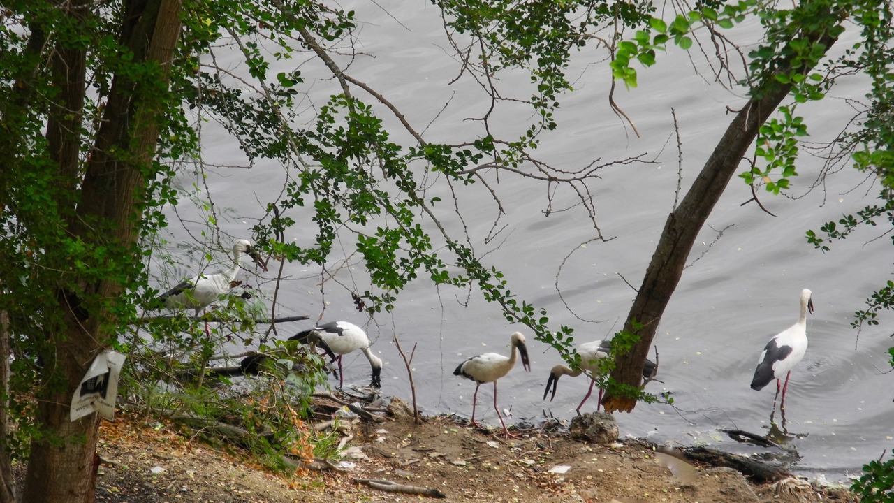 Photo of Outdoor in Nong Prue
