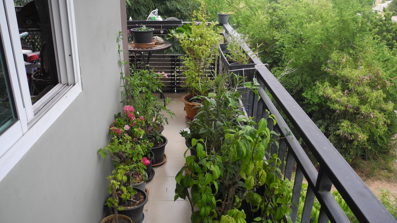 Photo of Outdoor in Nong Prue