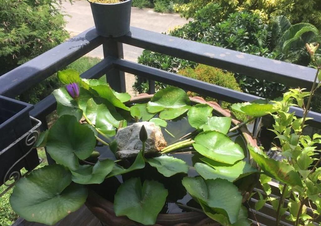 Photo of Outdoor in Nong Prue