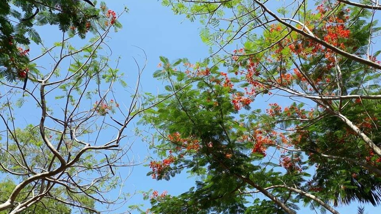 Photo of Outdoor in Sanamchai