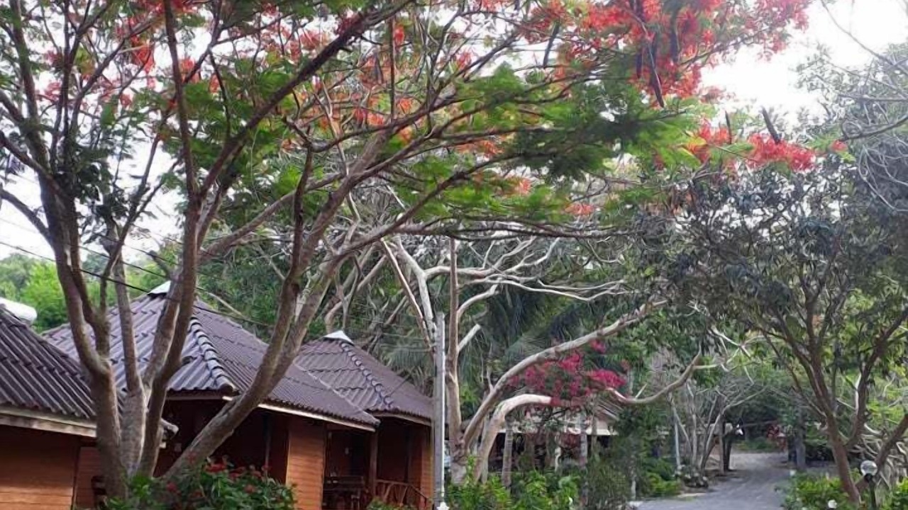 Photo of Outdoor in Sanamchai
