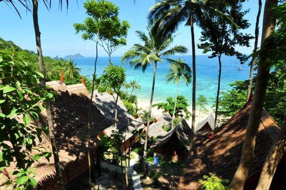 Photo of Others in Ko Phi Phi