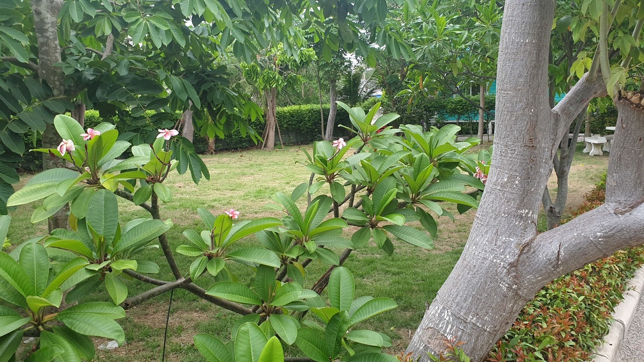 Photo of Outdoor in Hat Chao Samran