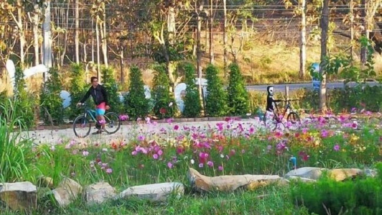 Photo of Others in Wang Nam Khiao