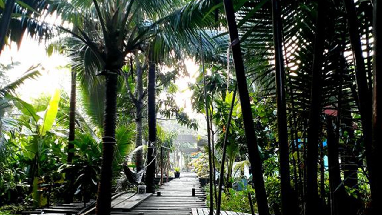 Photo of Outdoor in Bang Kobua