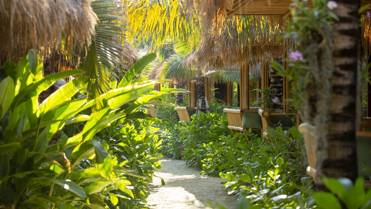 Photo of Outdoor in Ko Phi Phi