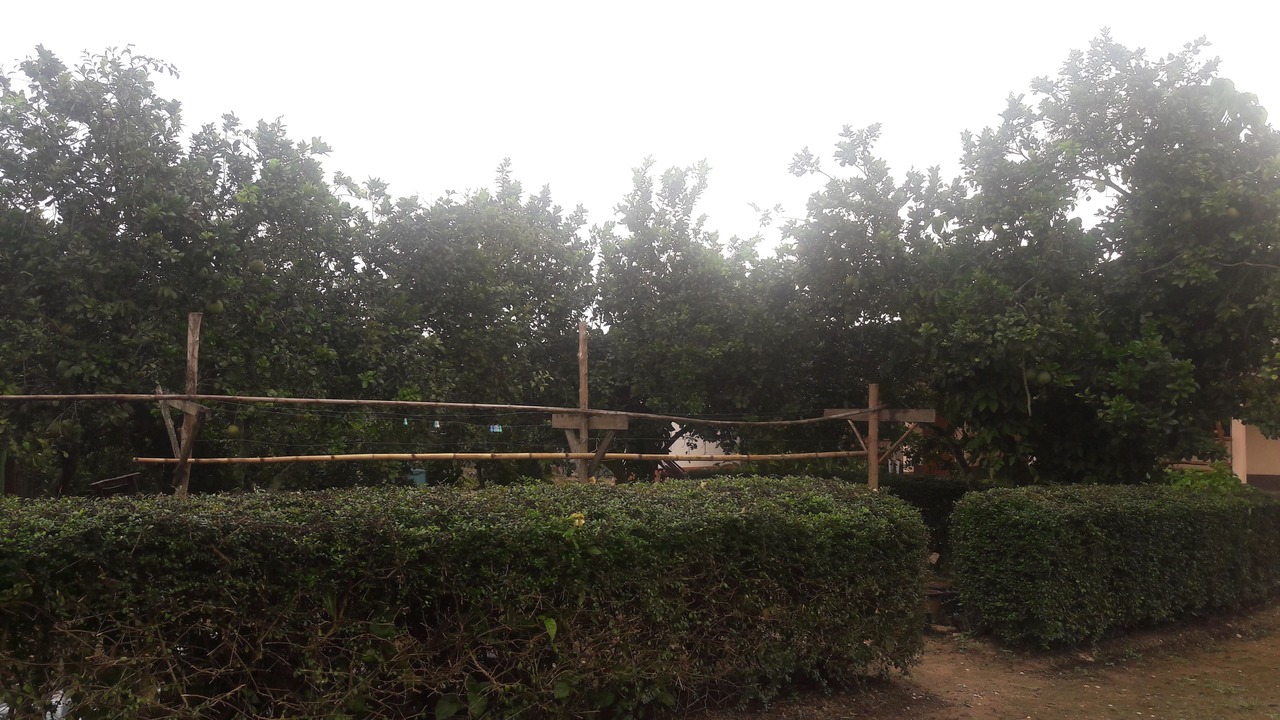 Photo of Outdoor in Sop Ruak