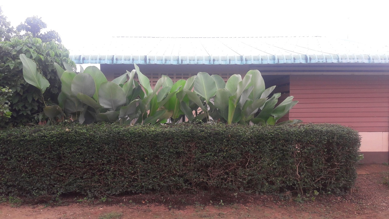 Photo of Outdoor in Sop Ruak