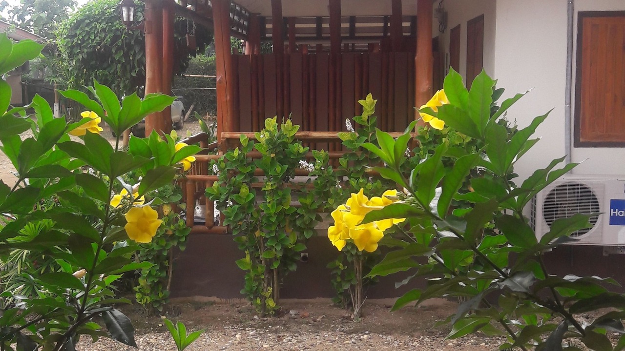 Photo of Outdoor in Sop Ruak