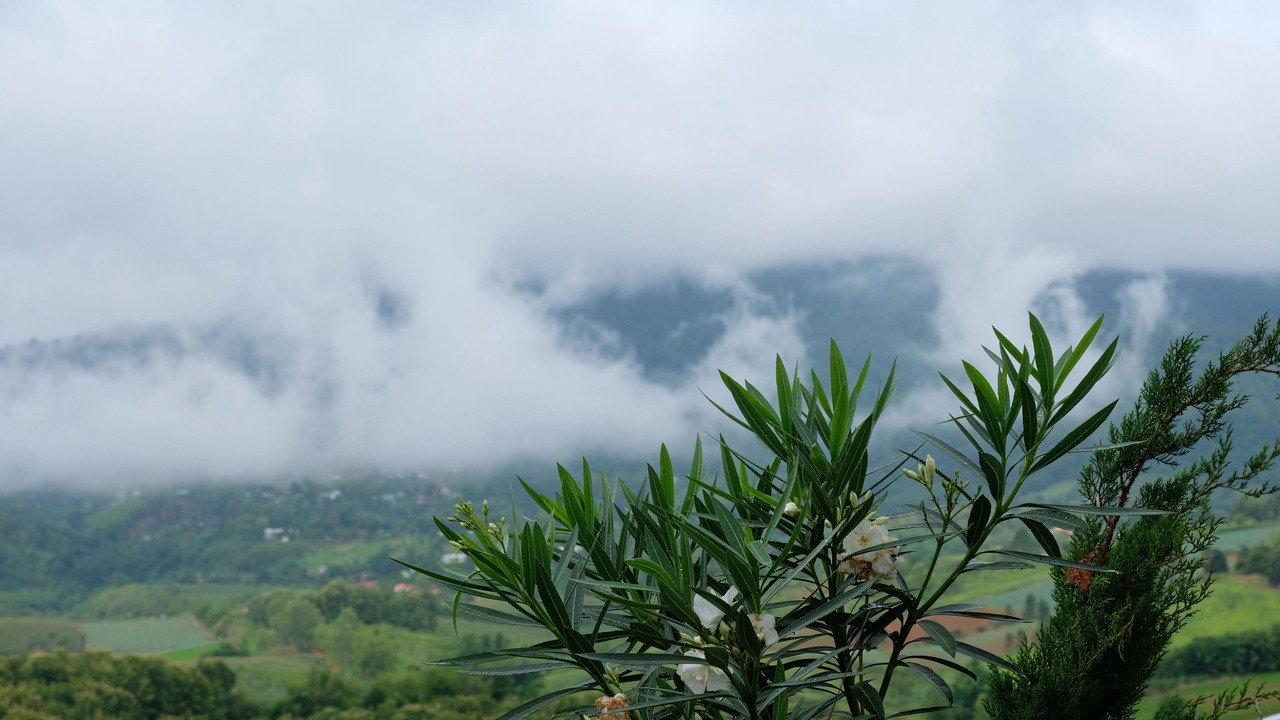 Photo of Outdoor in Khao Kho