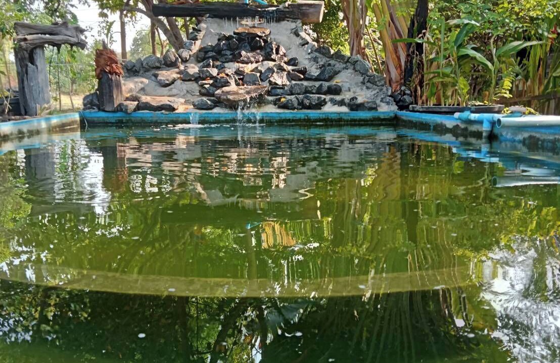 Photo of Outdoor in Chamni
