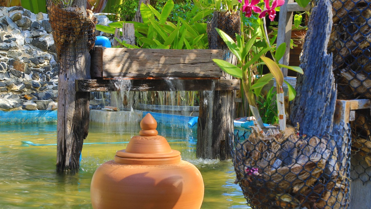 Photo of Outdoor in Chamni