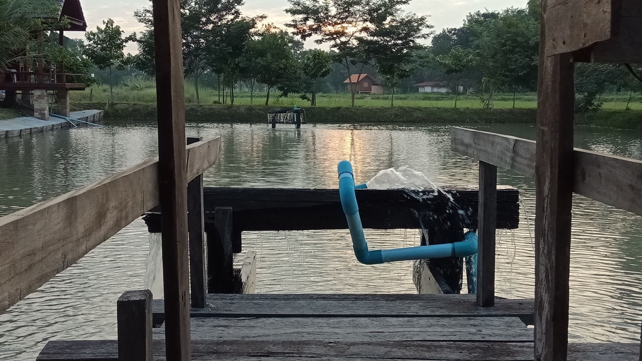 Photo of Outdoor in Chamni