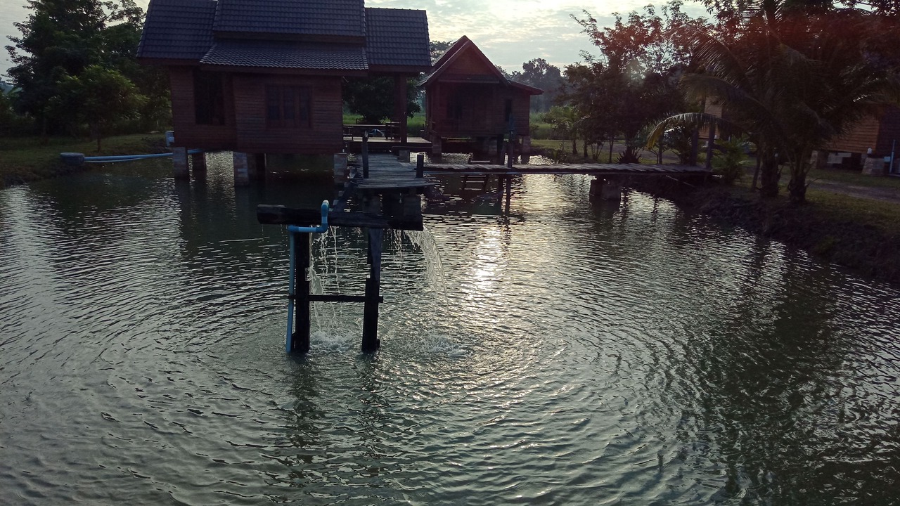 Photo of Outdoor in Chamni
