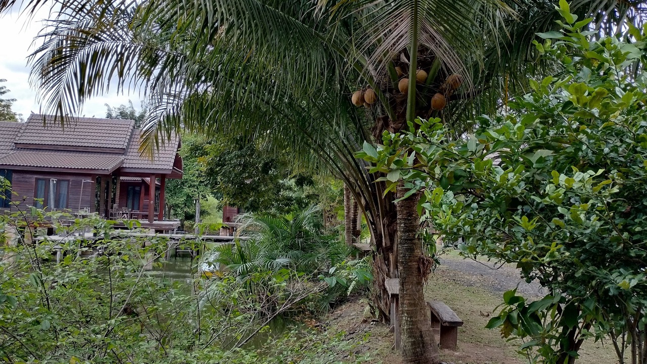 Photo of Outdoor in Chamni