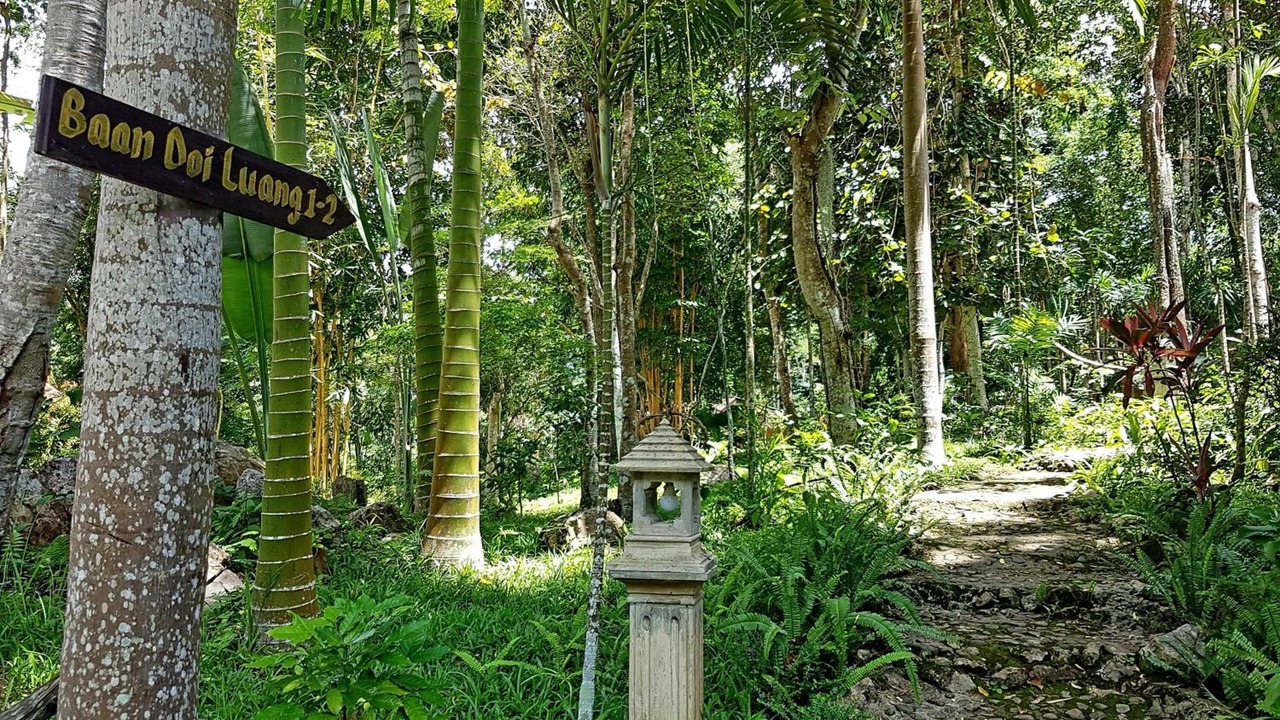 Photo of Outdoor in Mueang Ngai