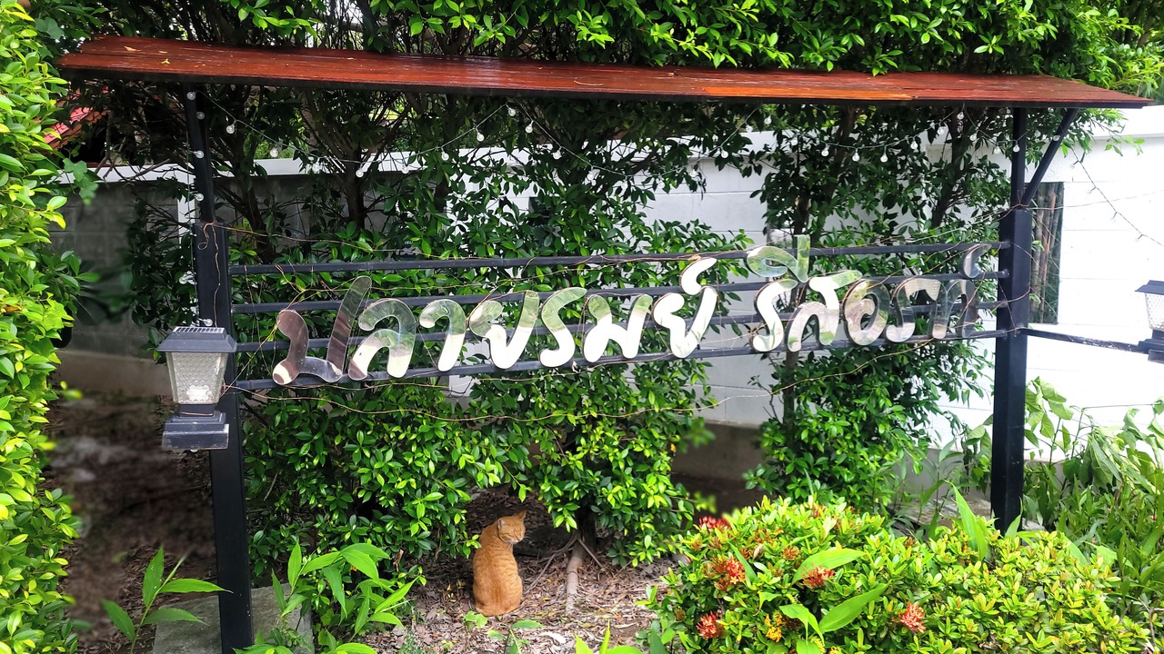 Photo of Outdoor in Saraburi
