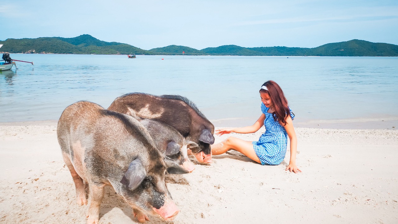 Photo of Others in Taling Ngam
