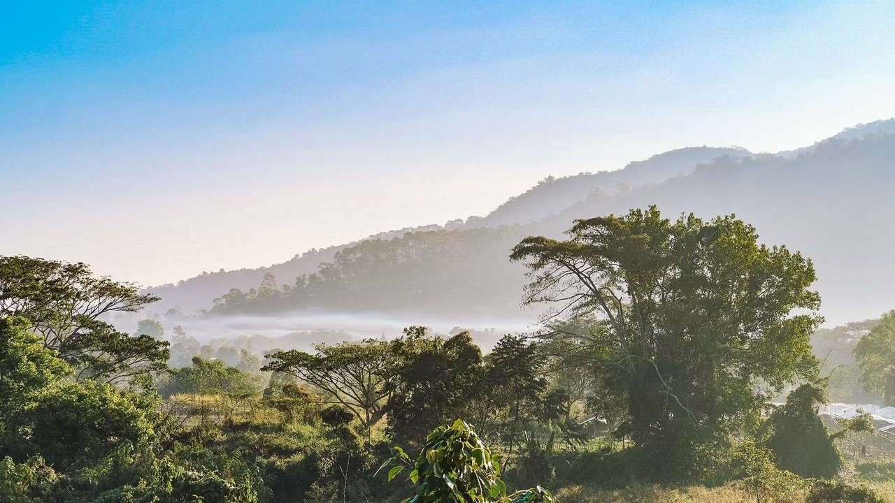 Photo of Outdoor in Pong Yaeng