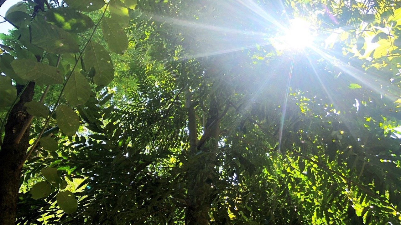 Photo of Outdoor in U Thong