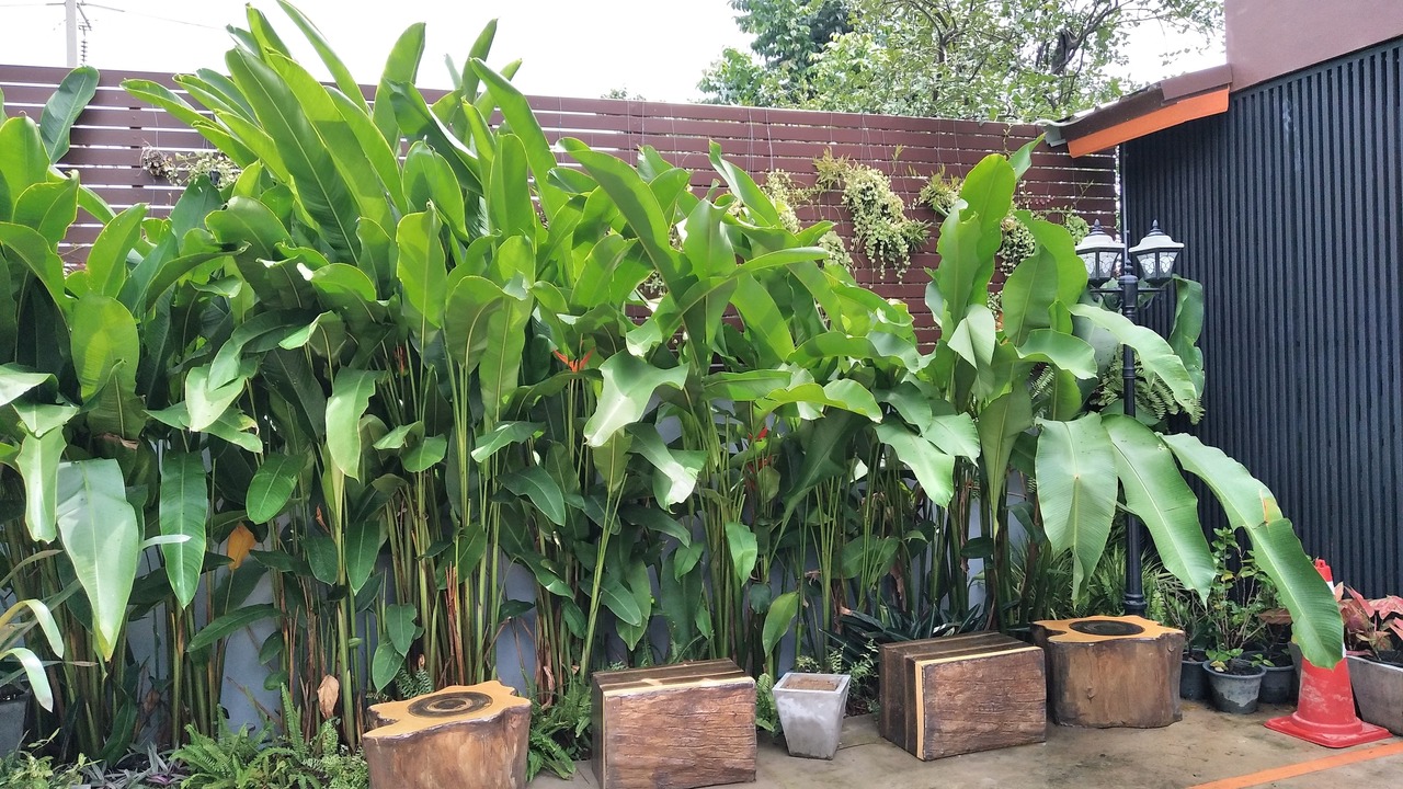 Photo of Outdoor in Kaeng Khoi