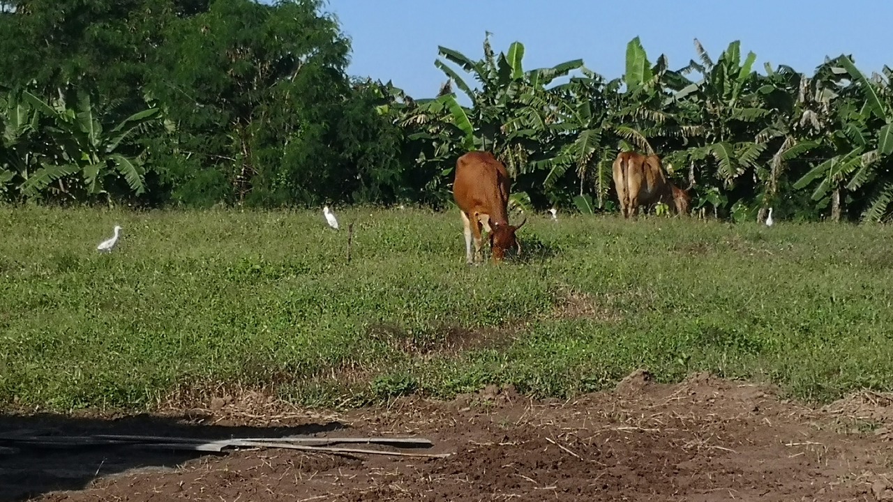 Photo of Outdoor in Nong Hong