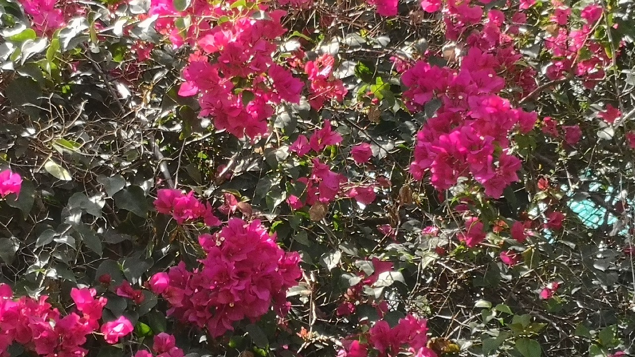 Photo of Outdoor in Nong Hong