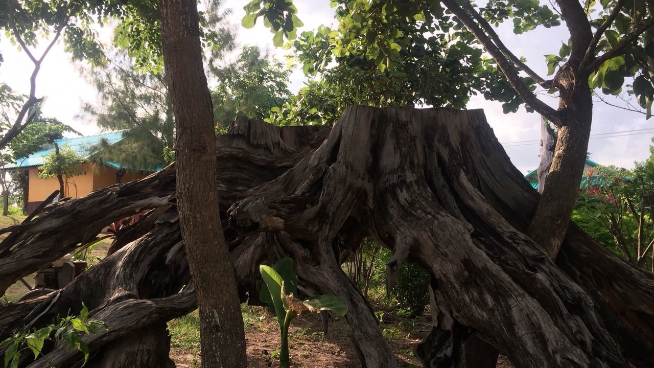 Photo of Outdoor in Nong Hong