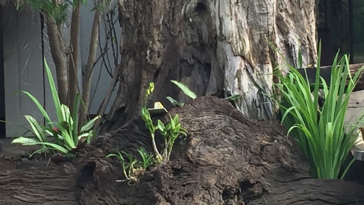 Photo of Outdoor in Nong Hong