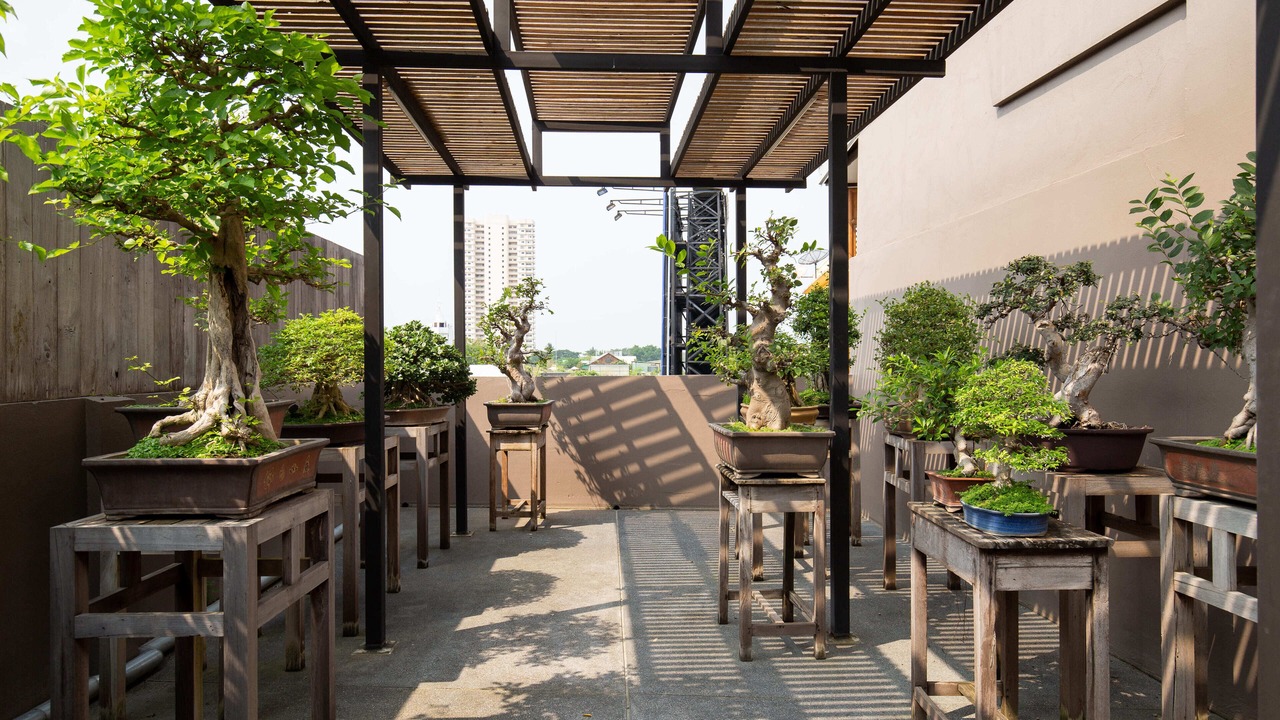 Photo of Outdoor in Chiang Mai