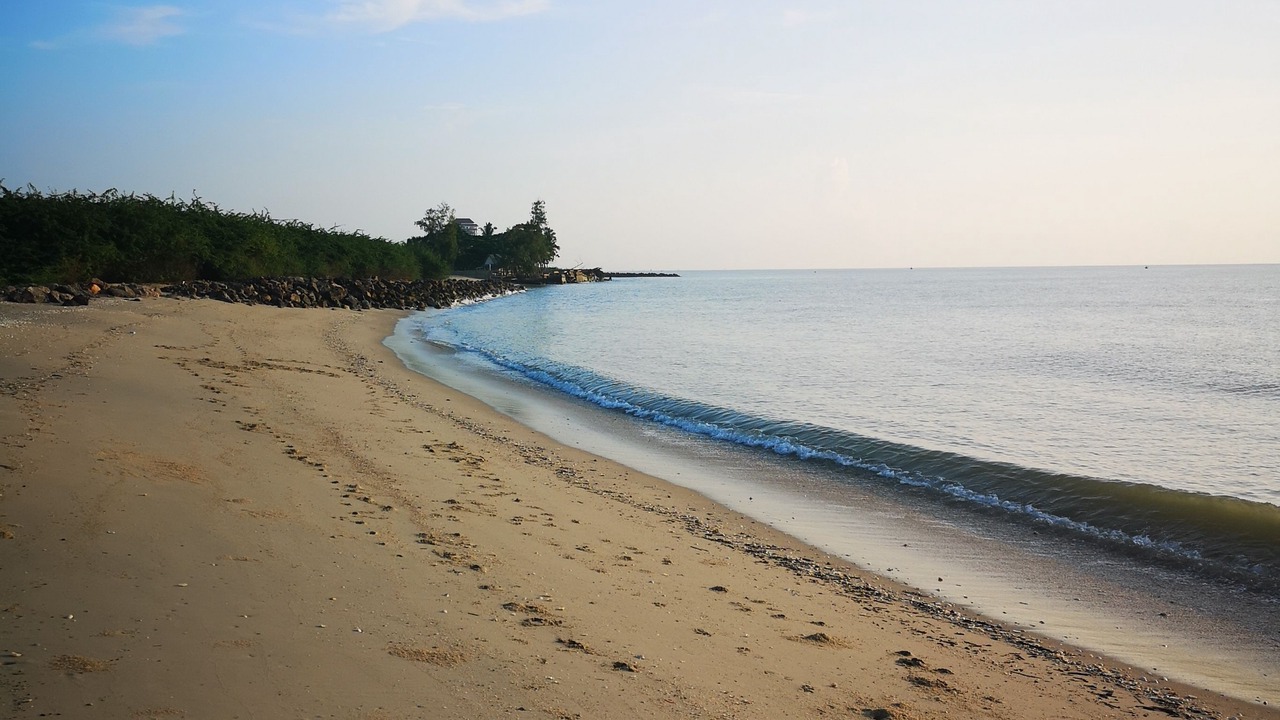 Photo of Outdoor in Laem Phak Bia