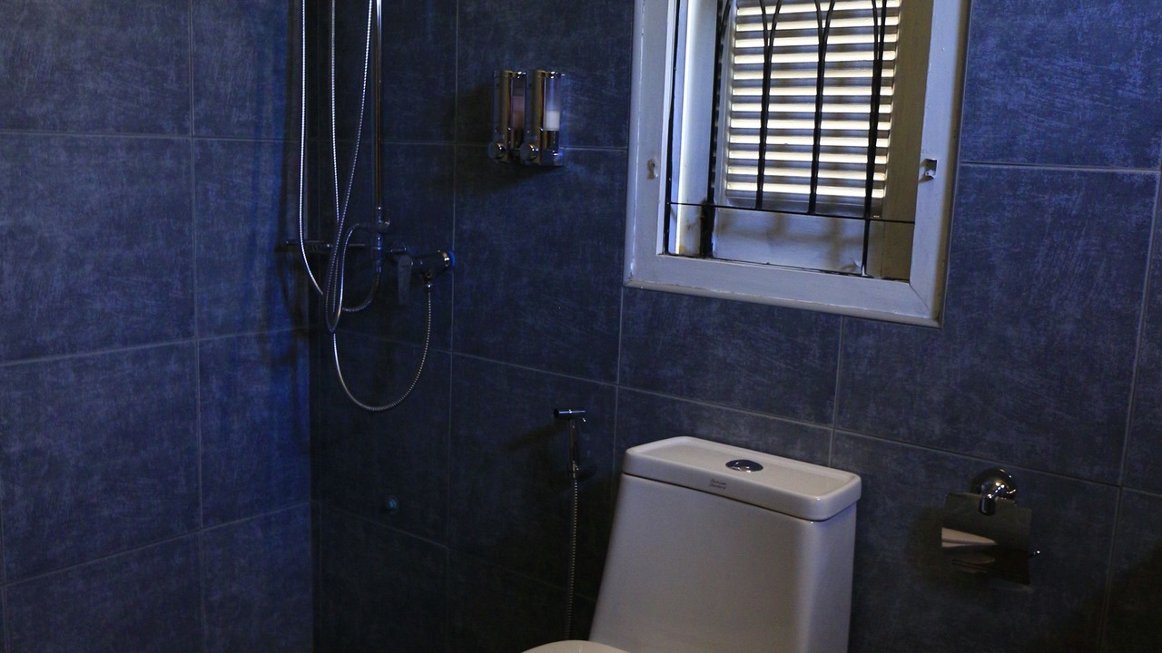 Photo of Bathroom in Pua