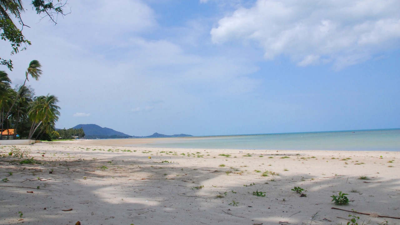 Photo of Others in Hua Thanon