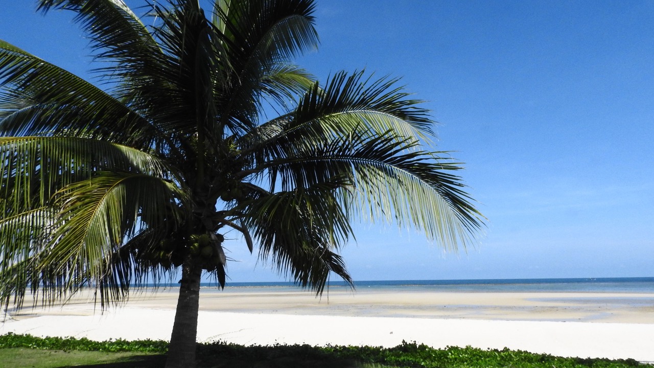 Photo of Outdoor in Hua Thanon