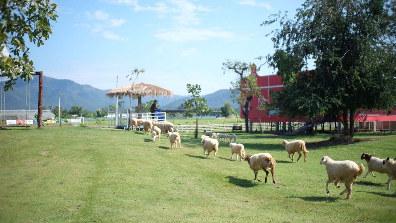 Photo of Outdoor in San Kamphaeng