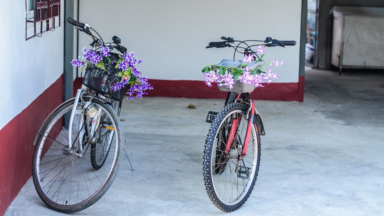 Photo of Outdoor in San Klang