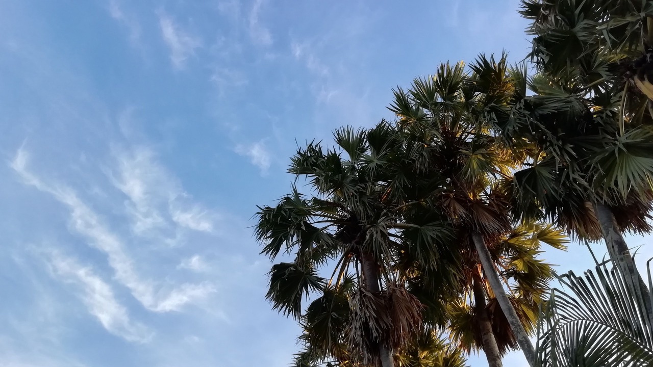 Photo of Outdoor in Krasae Sin