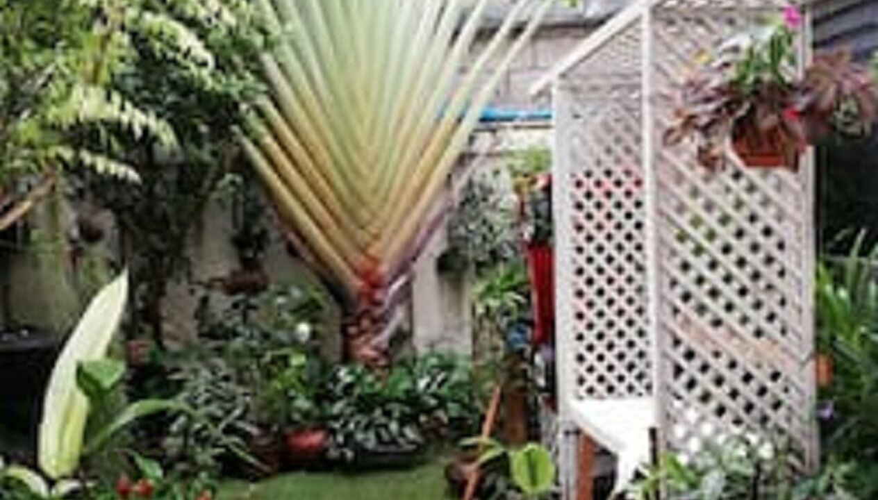 Photo of Outdoor in Wat Ket