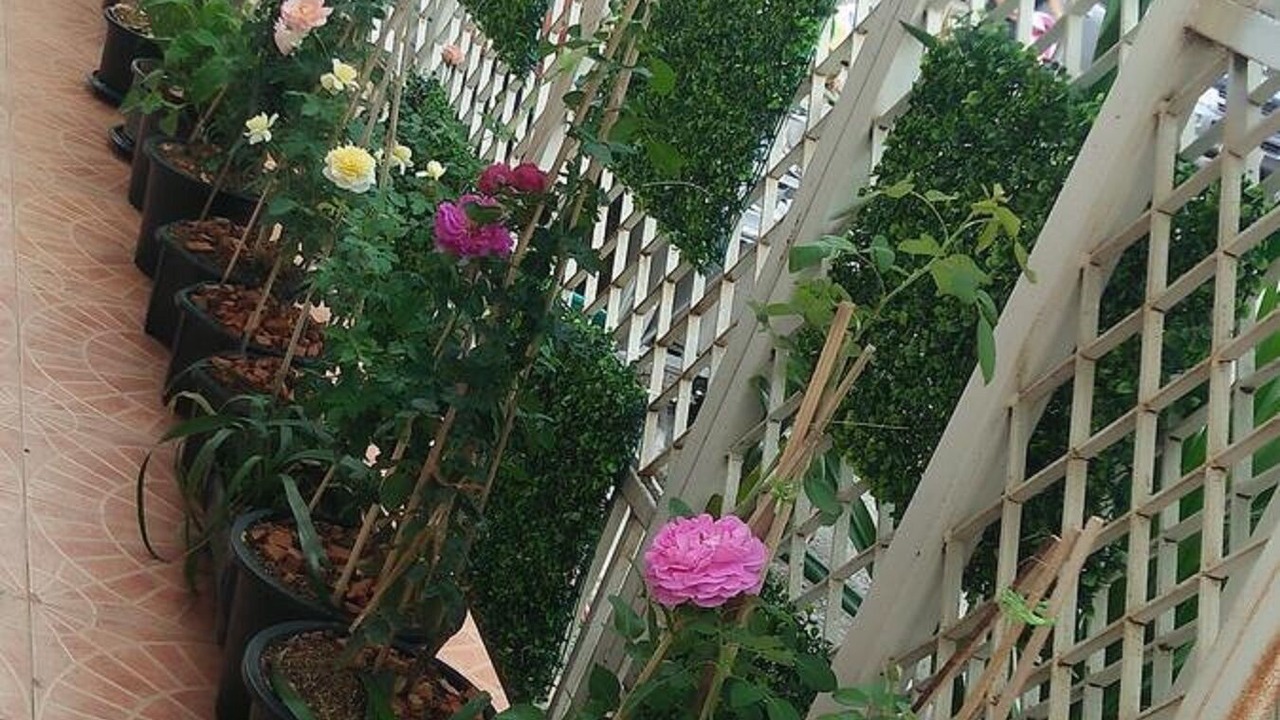 Photo of Outdoor in Wat Ket