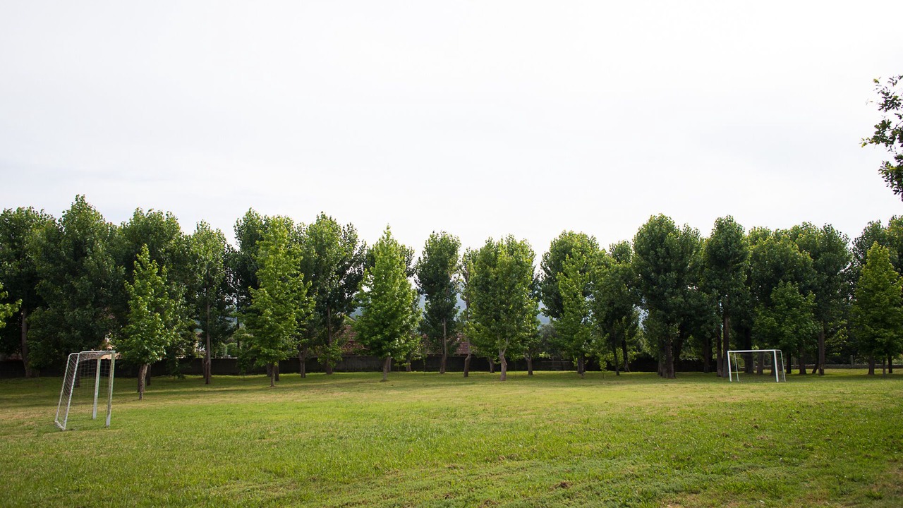 Photo of Others in Ponteareas
