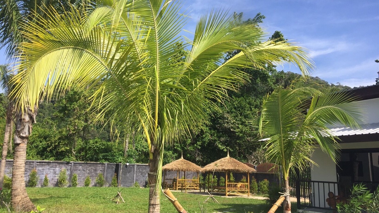 Photo of Outdoor in Ko Lanta