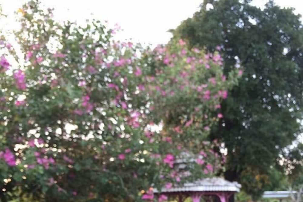 Photo of Outdoor in Chiang Mai