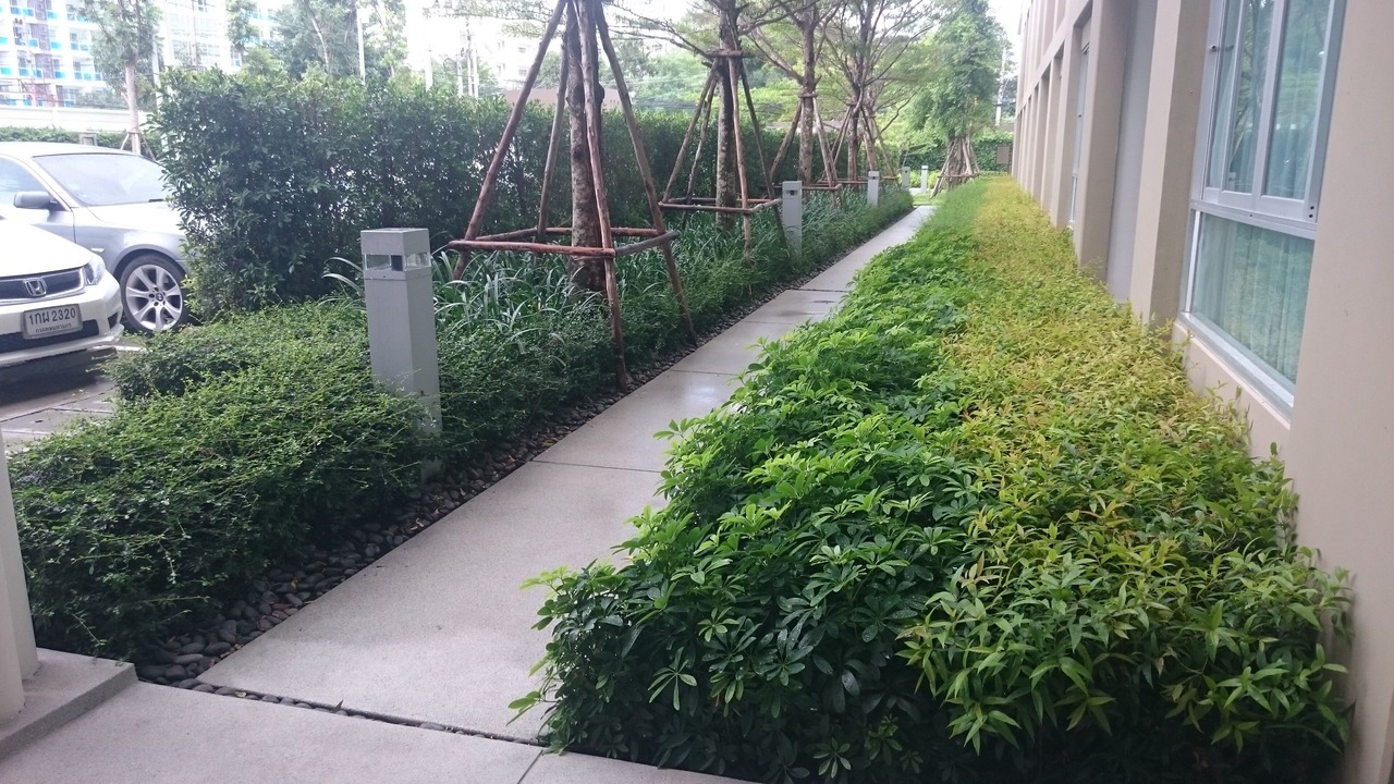 Photo of Outdoor in Khao Takiab