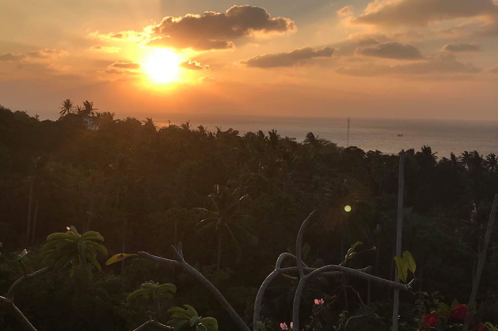 Photo of Others in Koh Tao