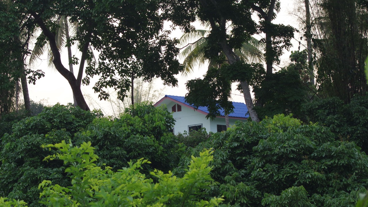 Photo of Outdoor in Mae Taeng