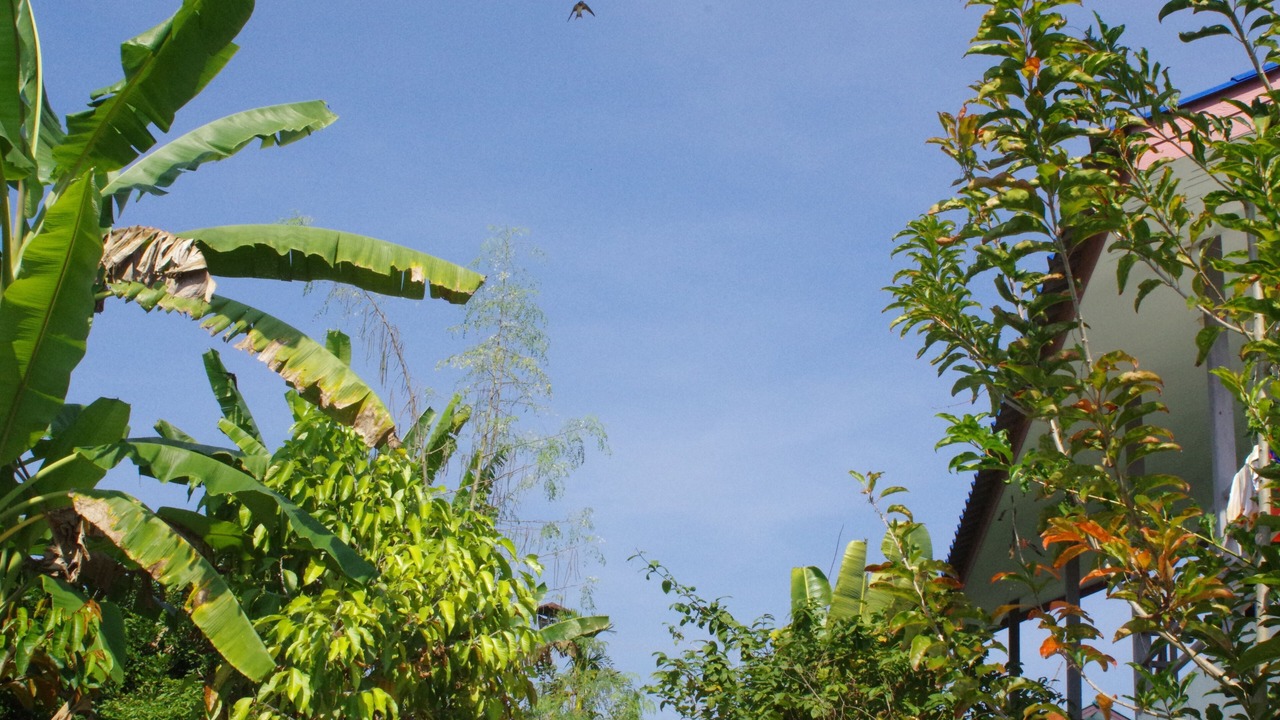 Photo of Outdoor in Mae Taeng