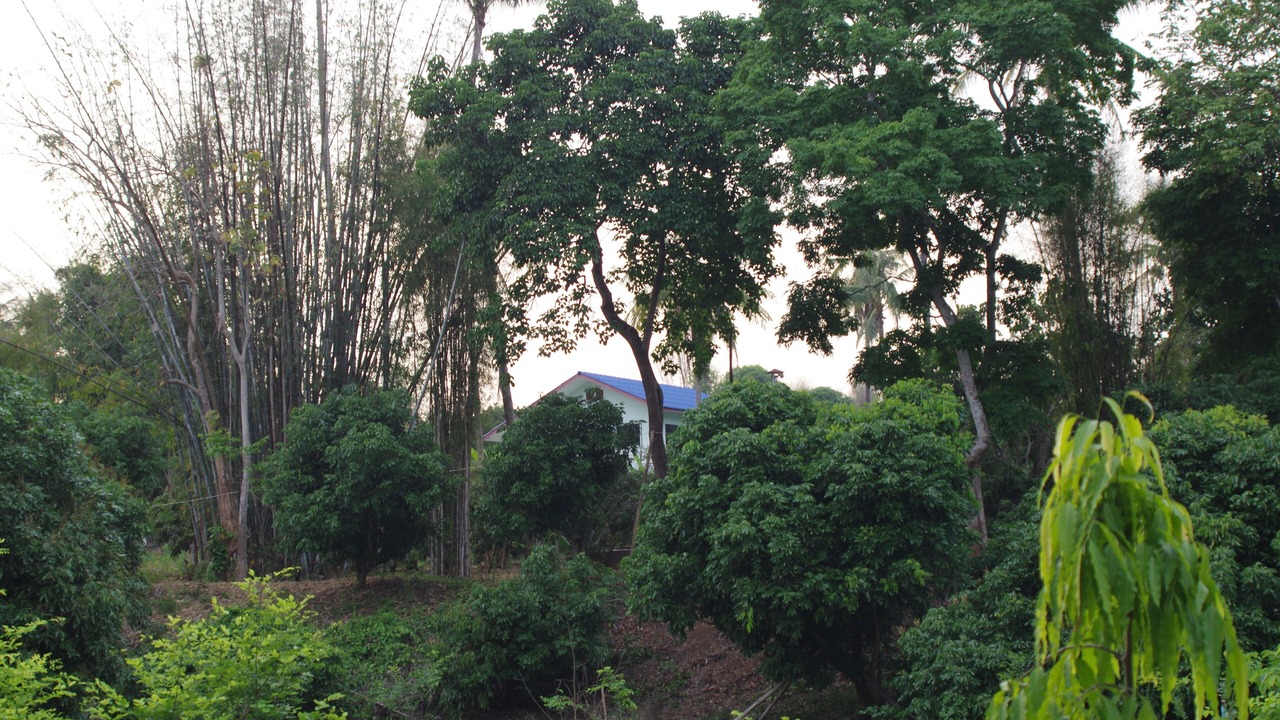 Photo of Outdoor in Mae Taeng