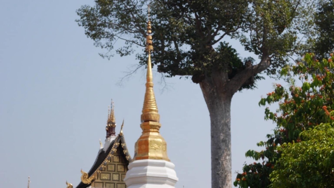 Photo of Others in Nimman